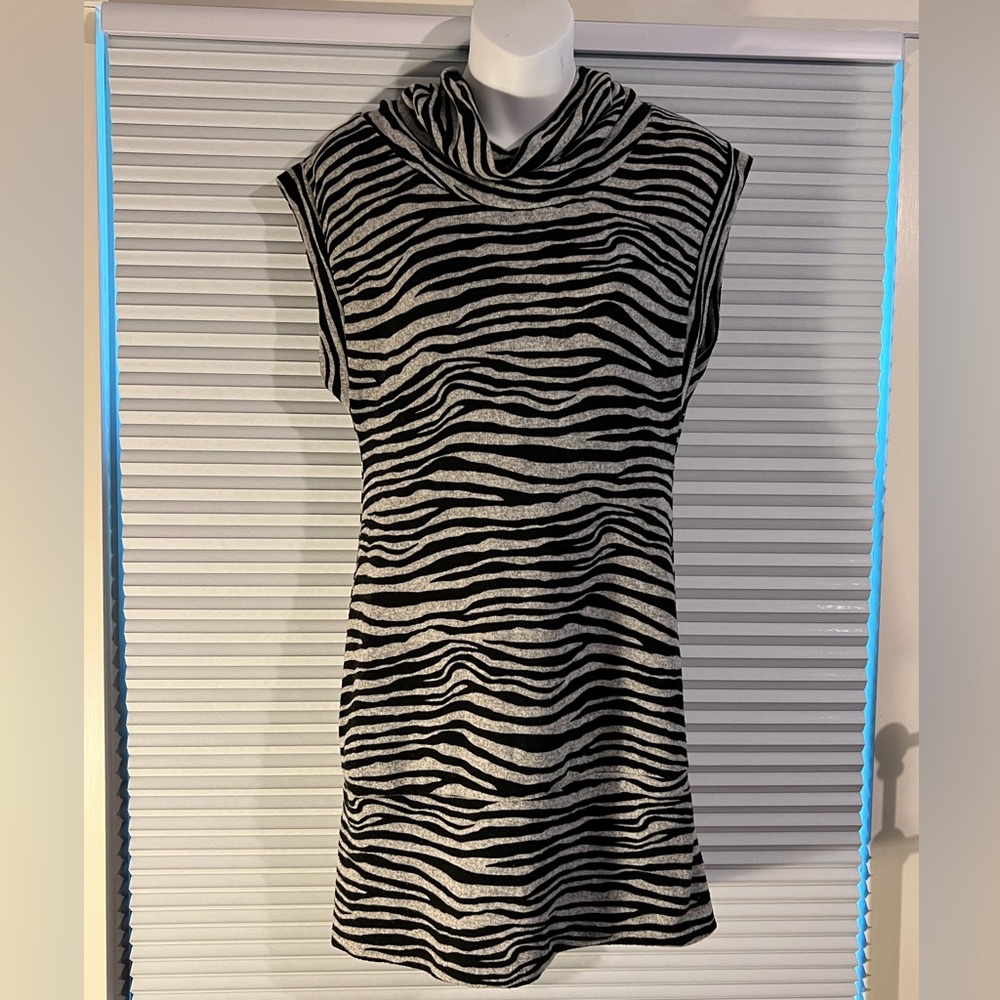 Zebra striped dress